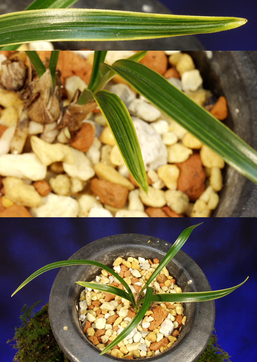 ������ ū������ �� �� �ֽ��ϴ�.