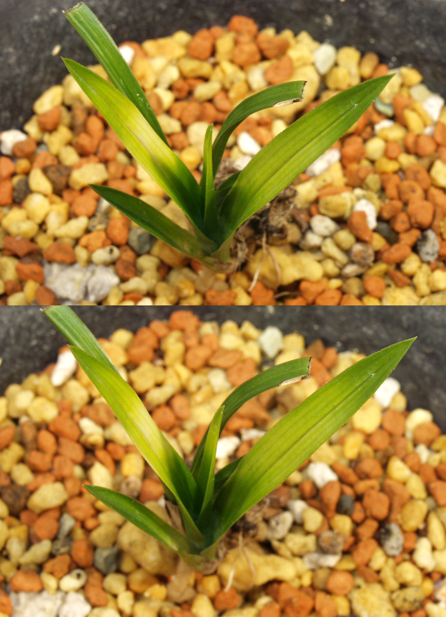 ������ ū������ �� �� �ֽ��ϴ�.