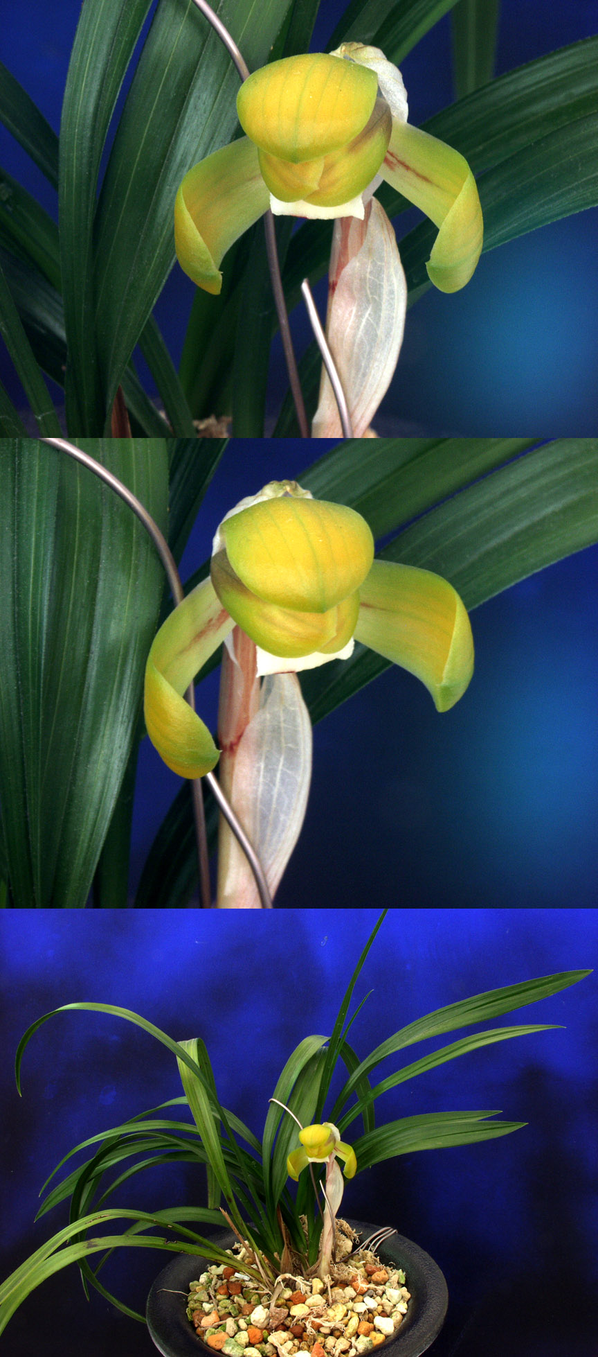 ������ ū������ �� �� �ֽ��ϴ�.