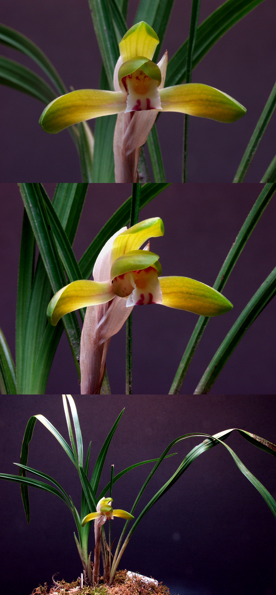 ������ ū������ �� �� �ֽ��ϴ�.