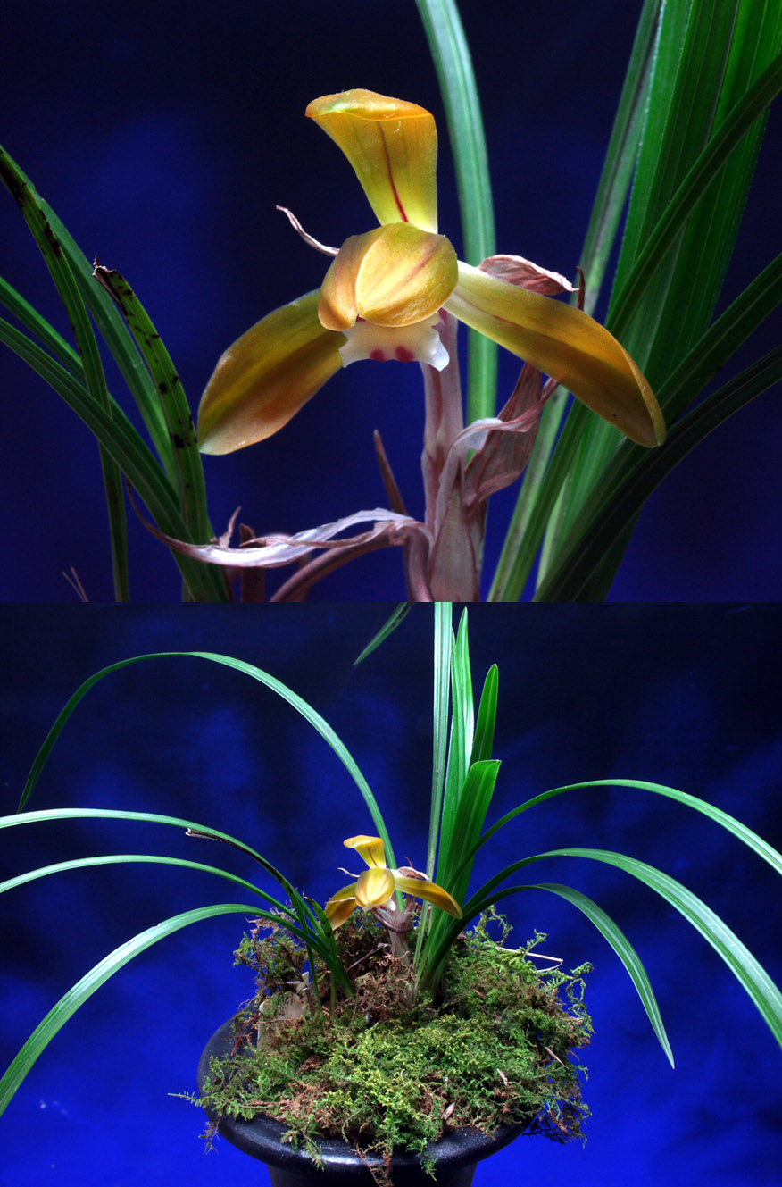 ������ ū������ �� �� �ֽ��ϴ�.