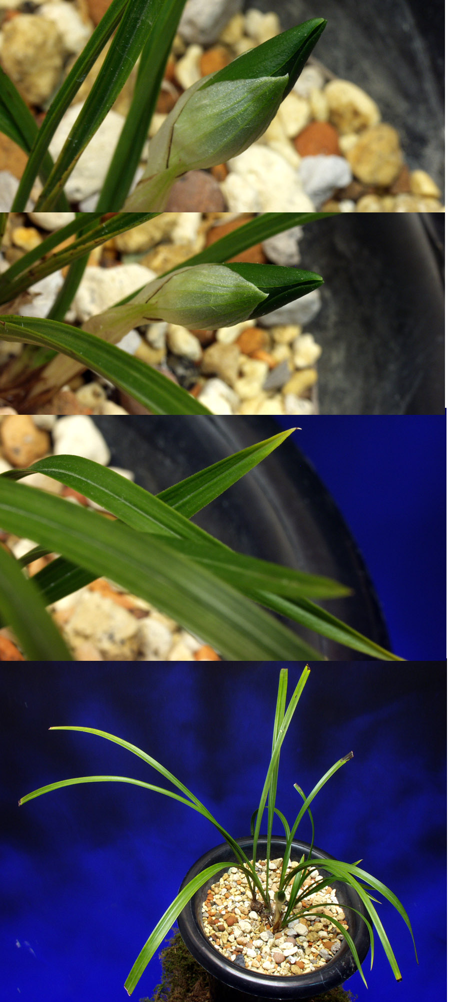 ������ ū������ �� �� �ֽ��ϴ�.