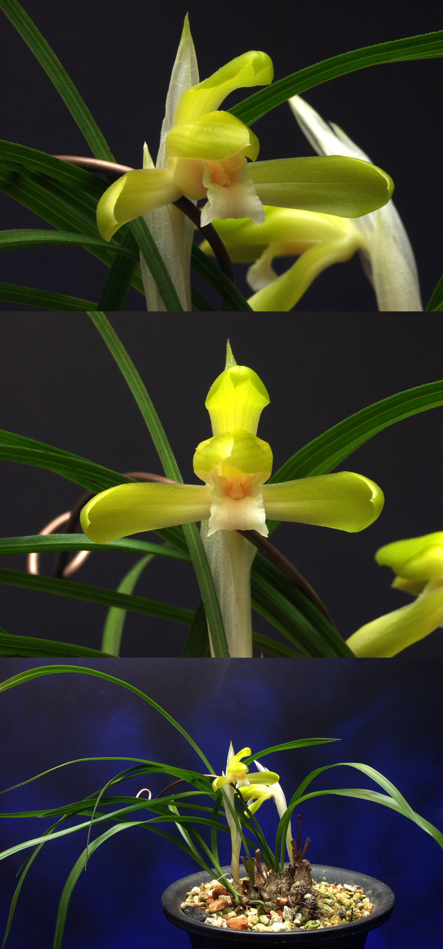 ������ ū������ �� �� �ֽ��ϴ�.