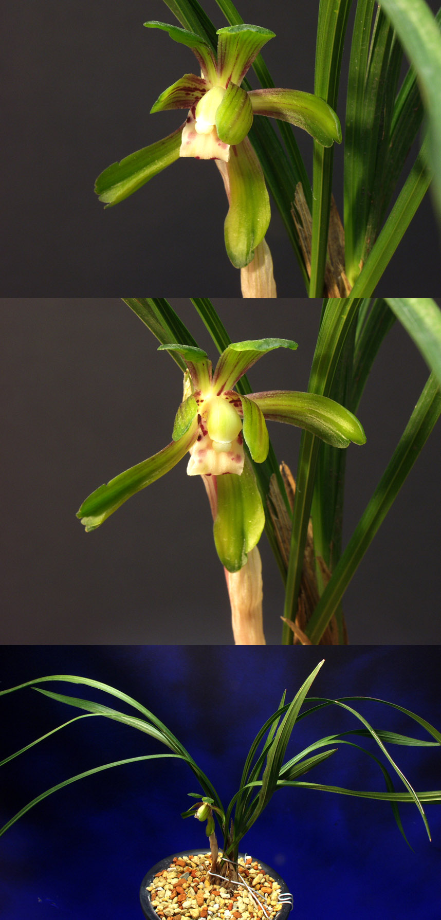 ������ ū������ �� �� �ֽ��ϴ�.