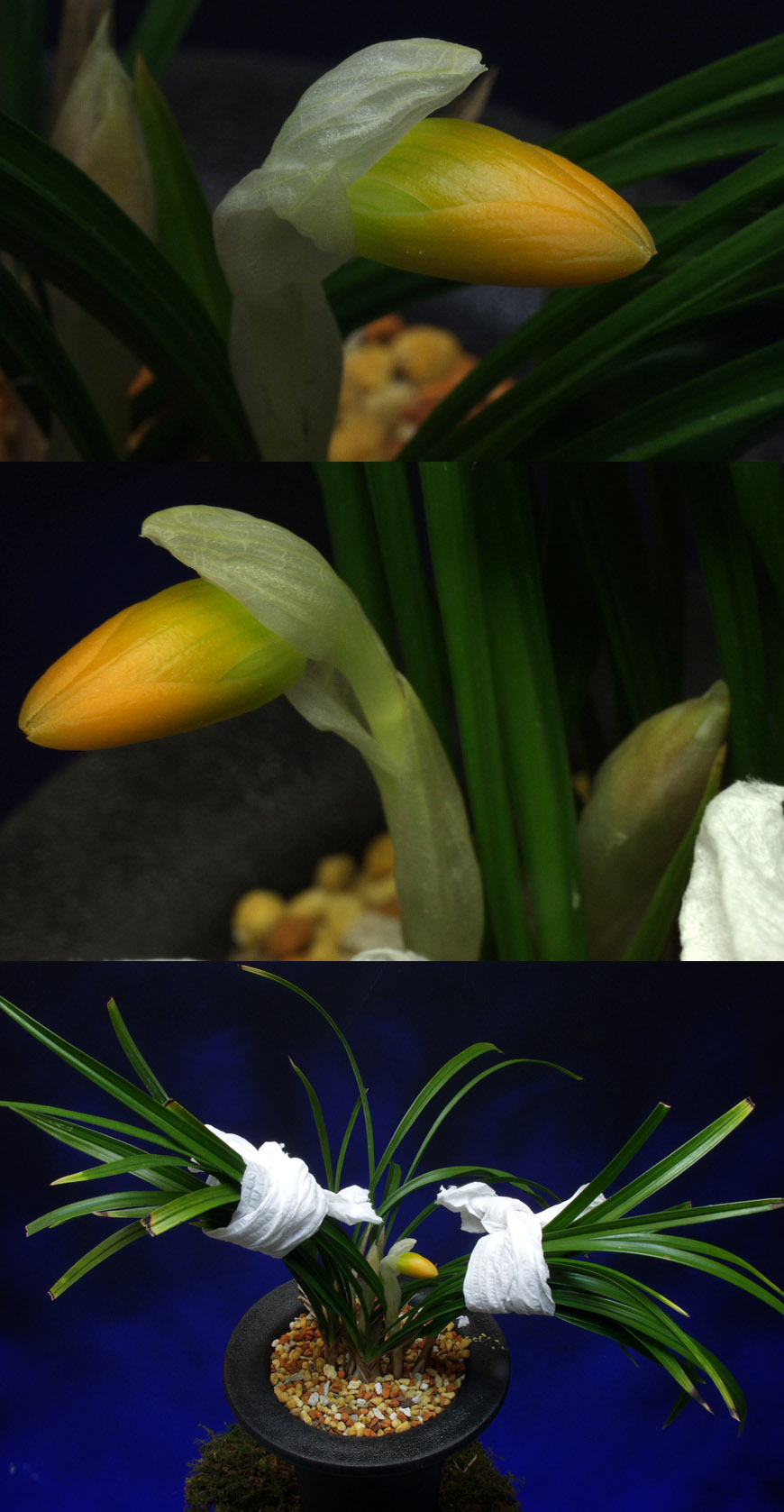 ������ ū������ �� �� �ֽ��ϴ�.