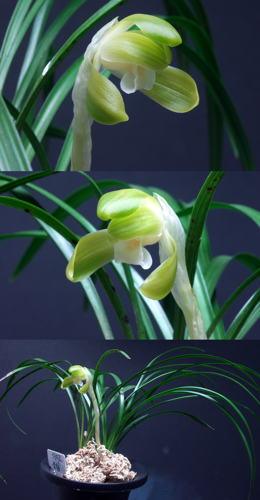 ������ ū������ �� �� �ֽ��ϴ�.