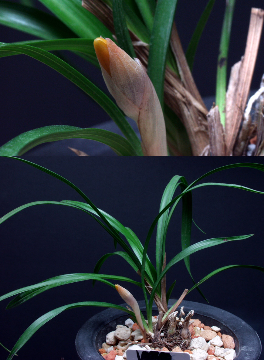 ������ ū������ �� �� �ֽ��ϴ�.