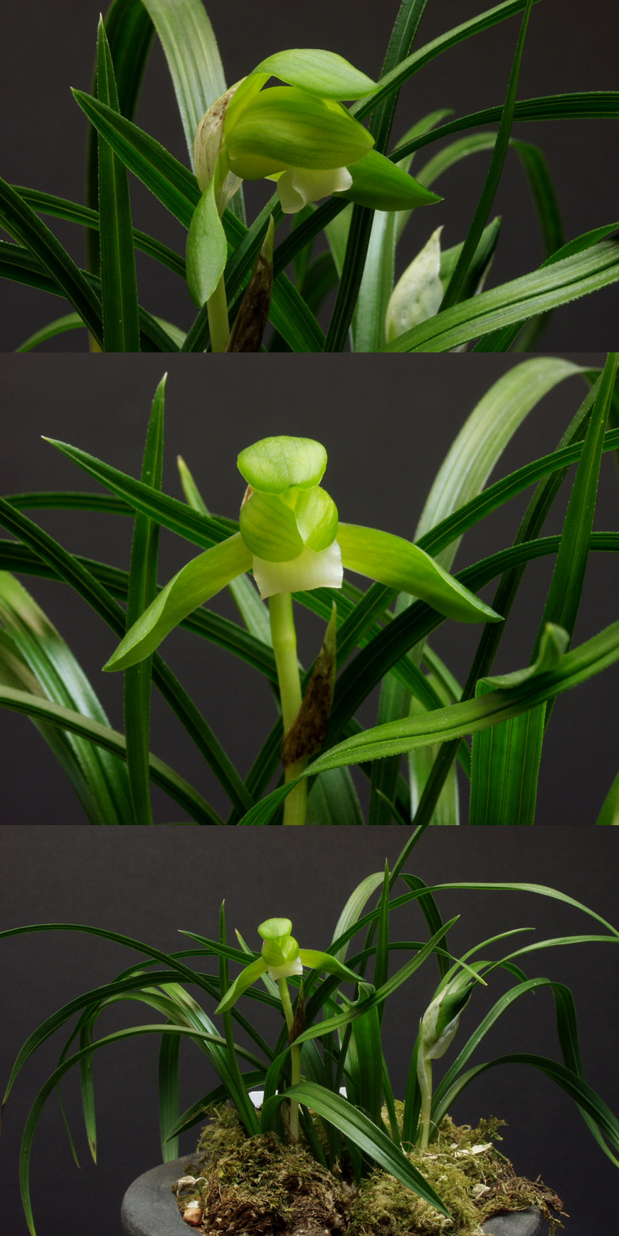 ������ ū������ �� �� �ֽ��ϴ�.