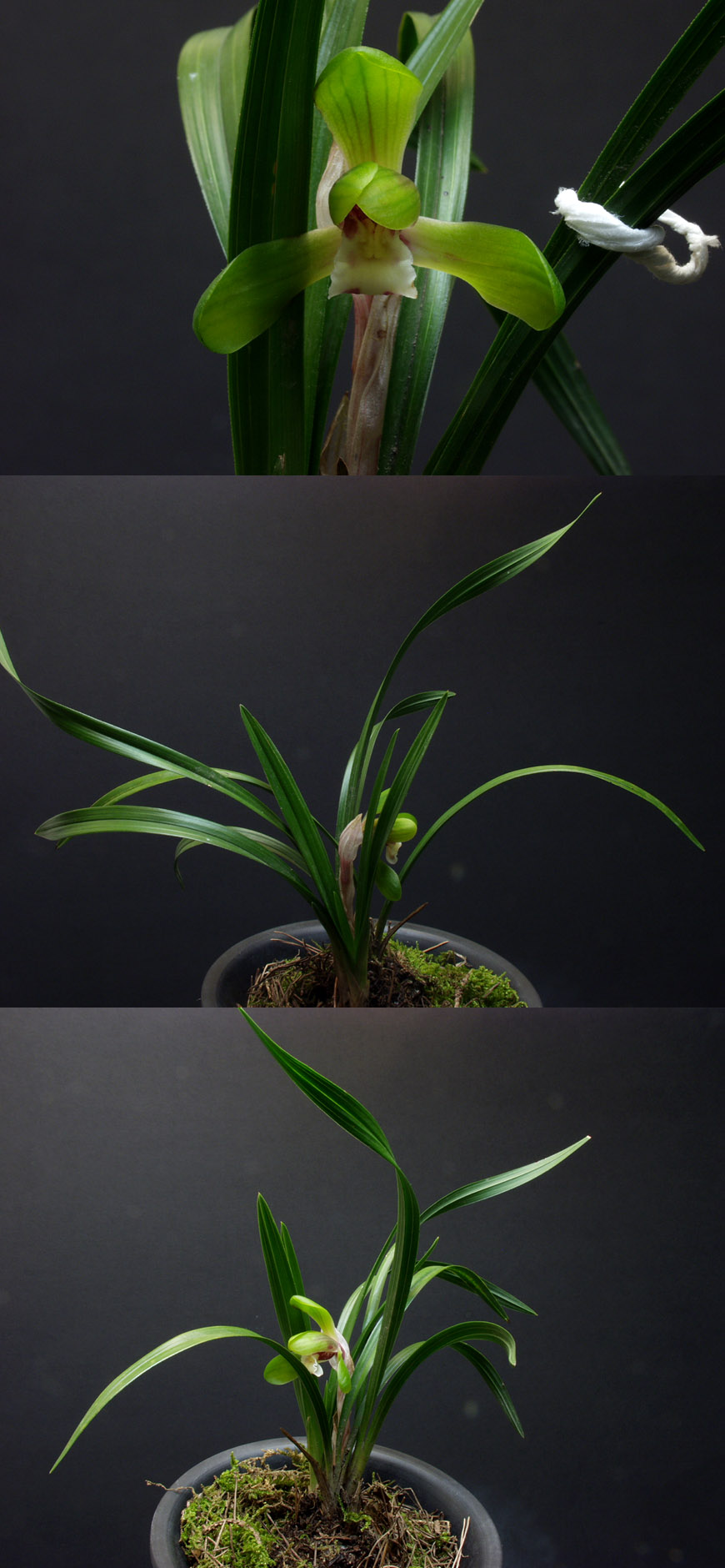 ������ ū������ �� �� �ֽ��ϴ�.