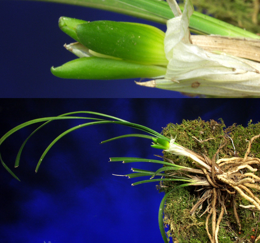 ������ ū������ �� �� �ֽ��ϴ�.