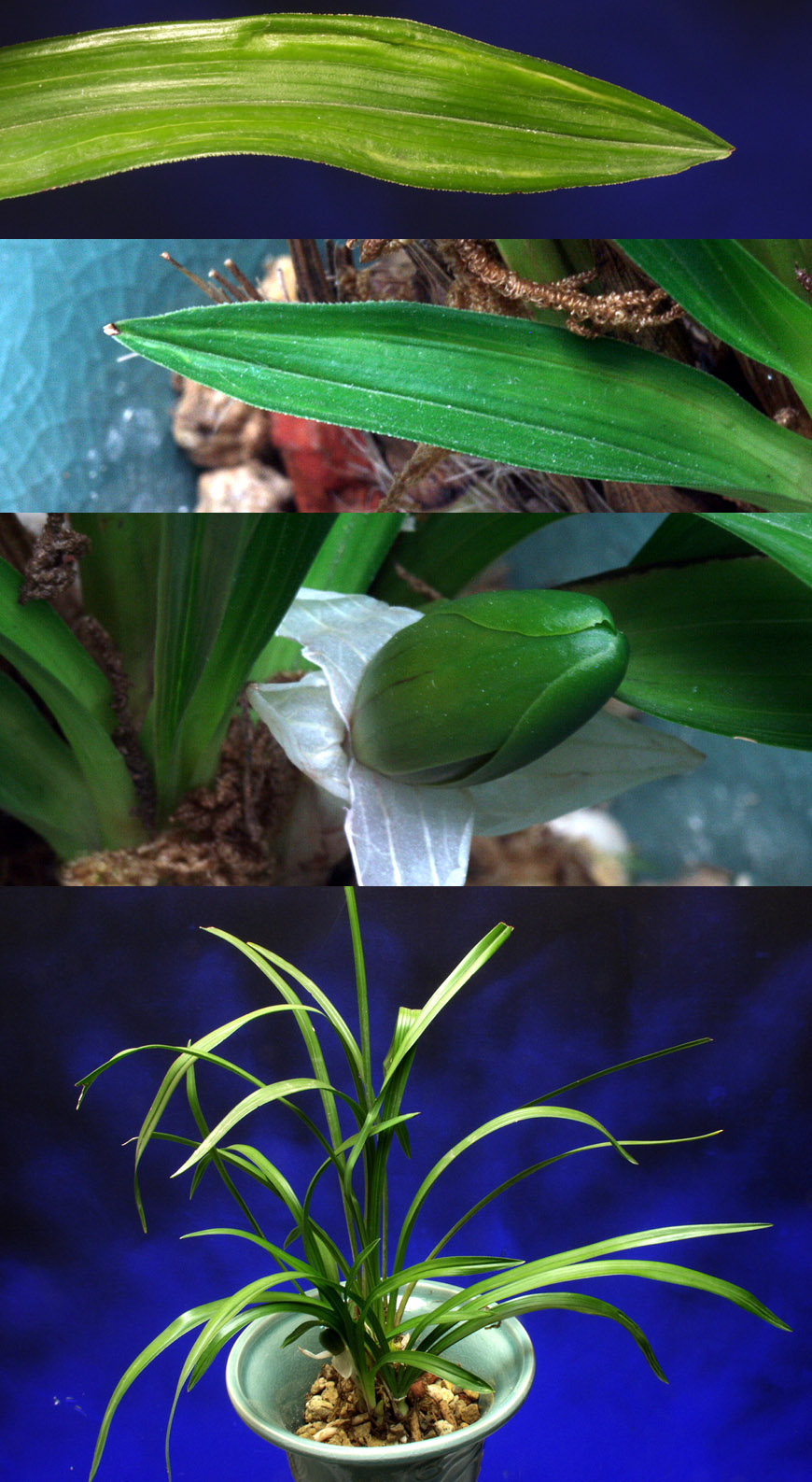 ������ ū������ �� �� �ֽ��ϴ�.