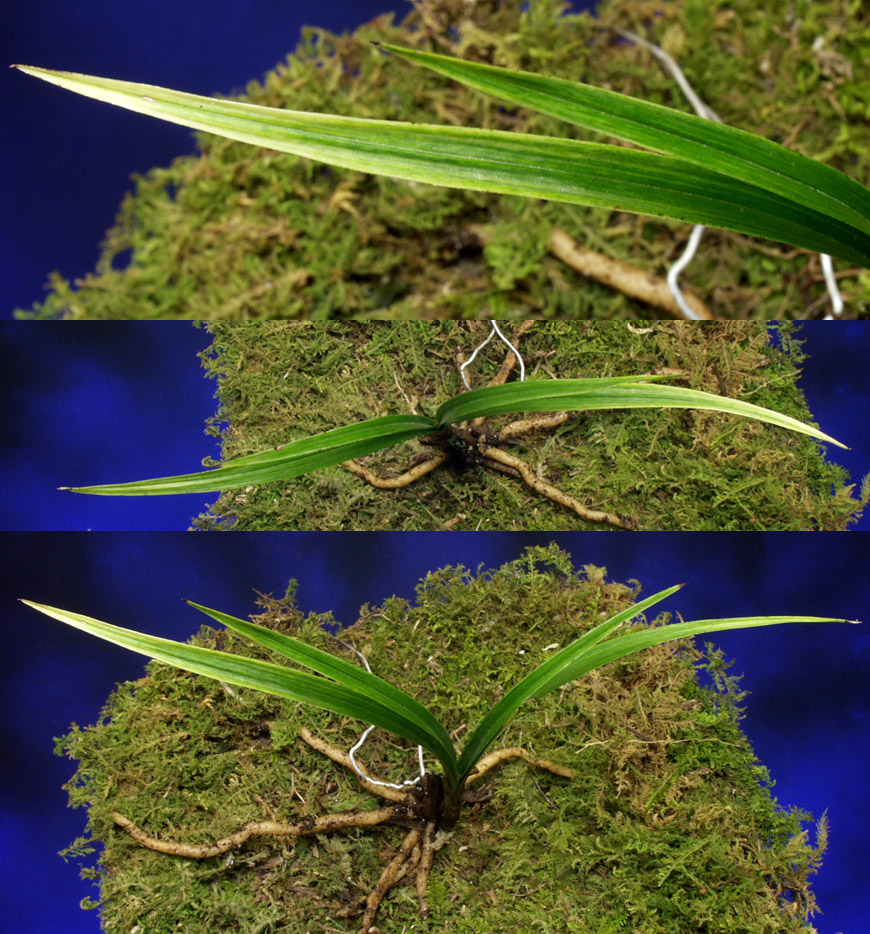 ������ ū������ �� �� �ֽ��ϴ�.