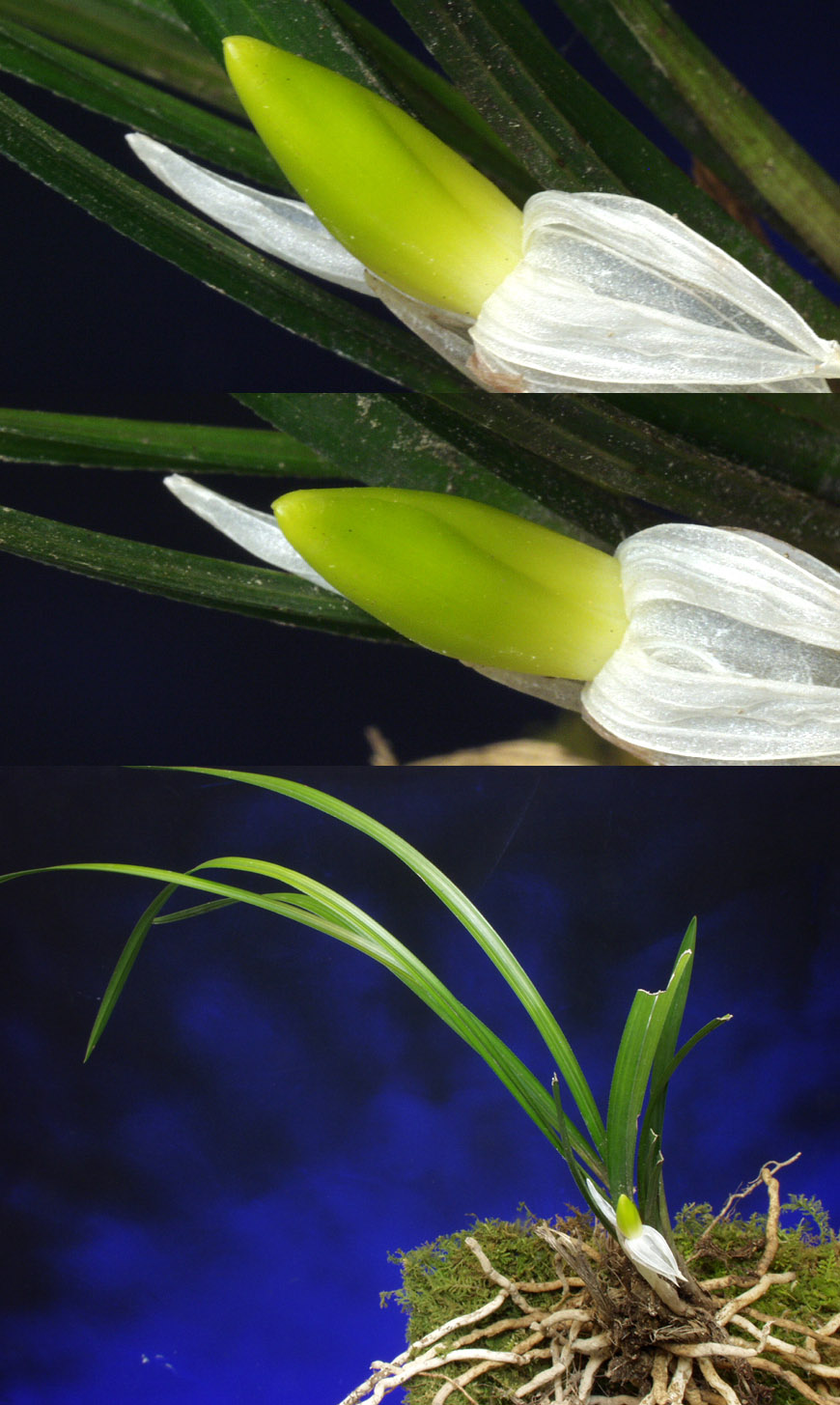 ������ ū������ �� �� �ֽ��ϴ�.