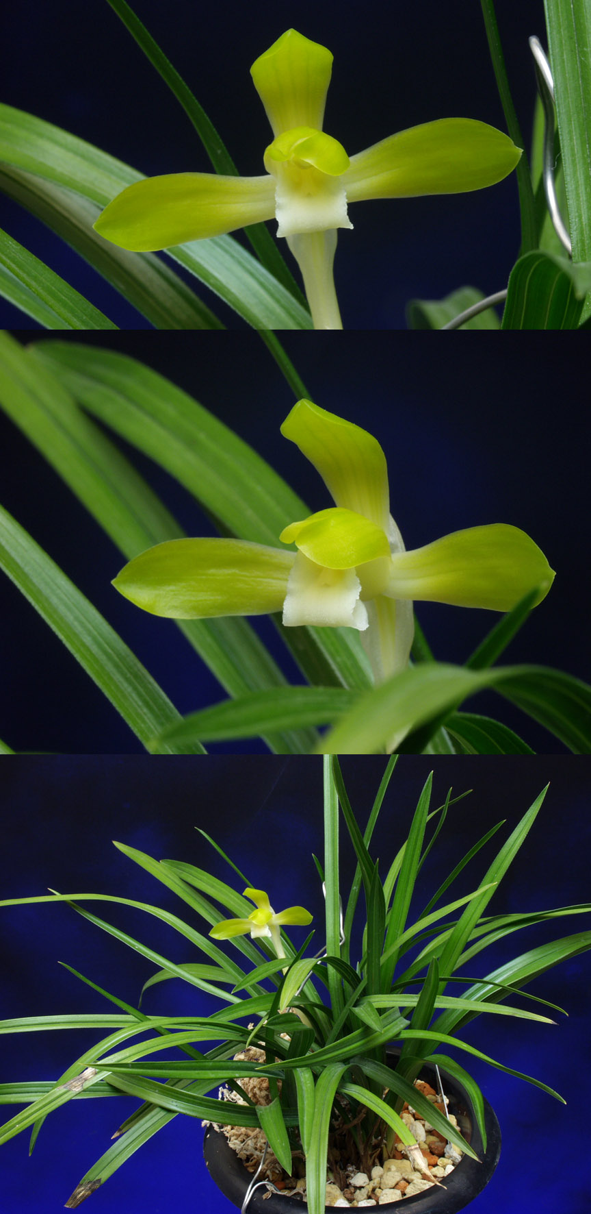 ������ ū������ �� �� �ֽ��ϴ�.