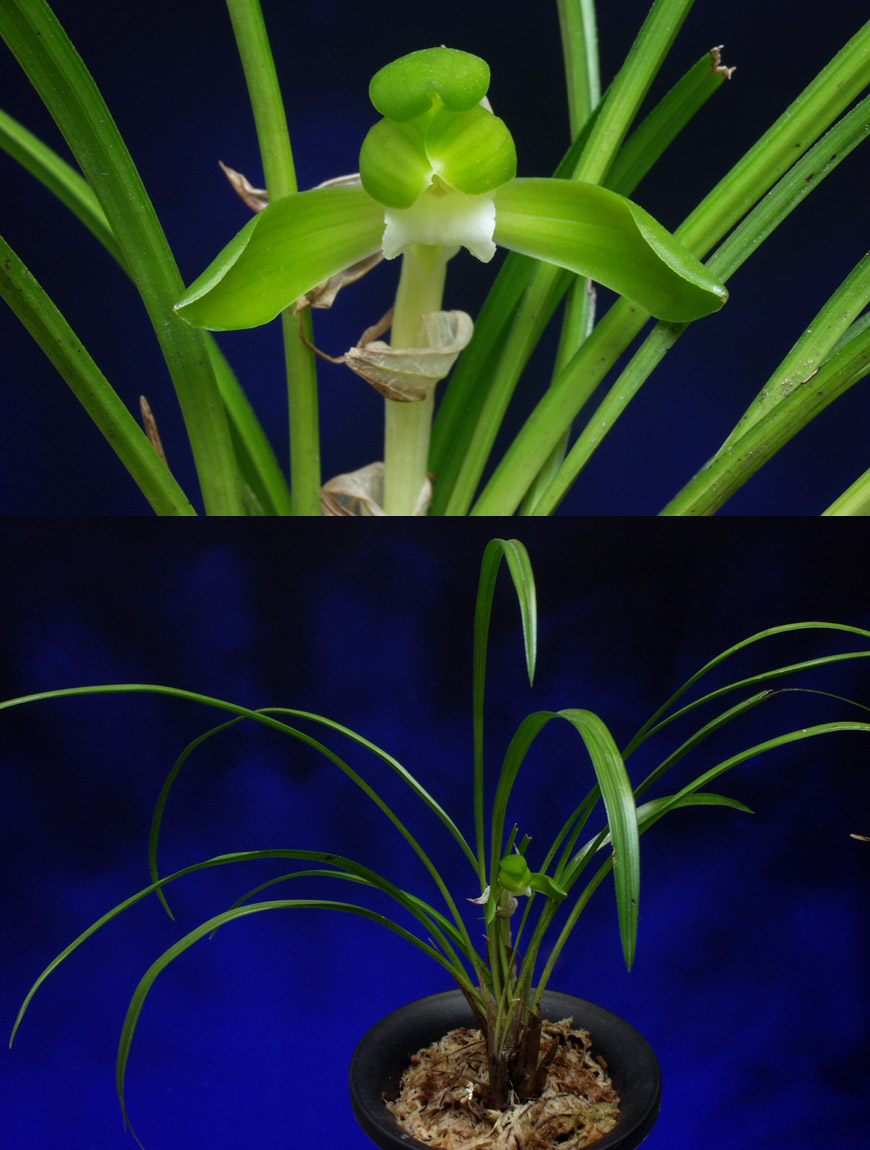 ������ ū������ �� �� �ֽ��ϴ�.