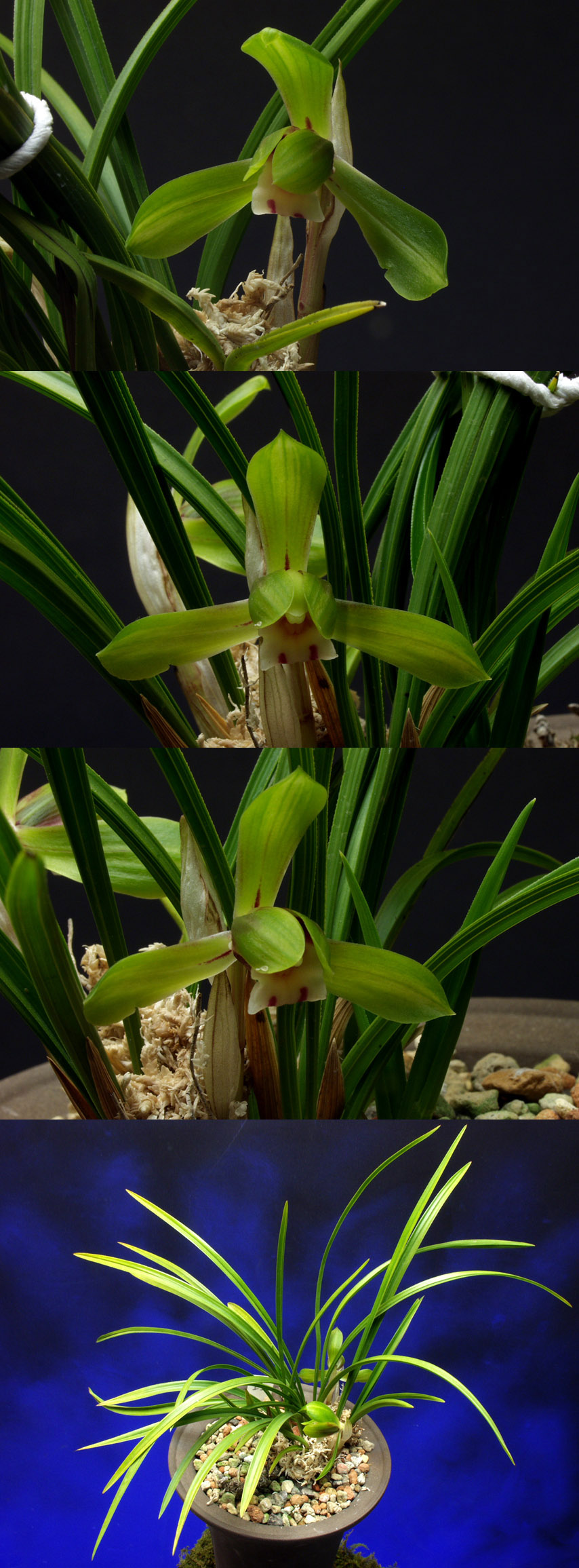 ������ ū������ �� �� �ֽ��ϴ�.