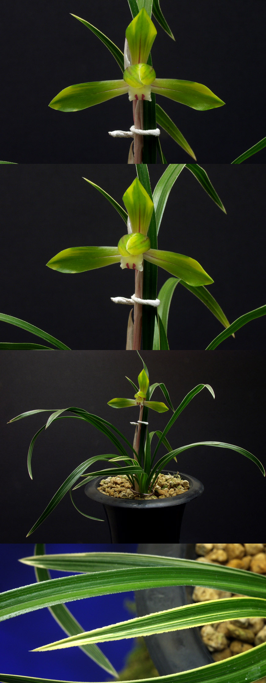 ������ ū������ �� �� �ֽ��ϴ�.