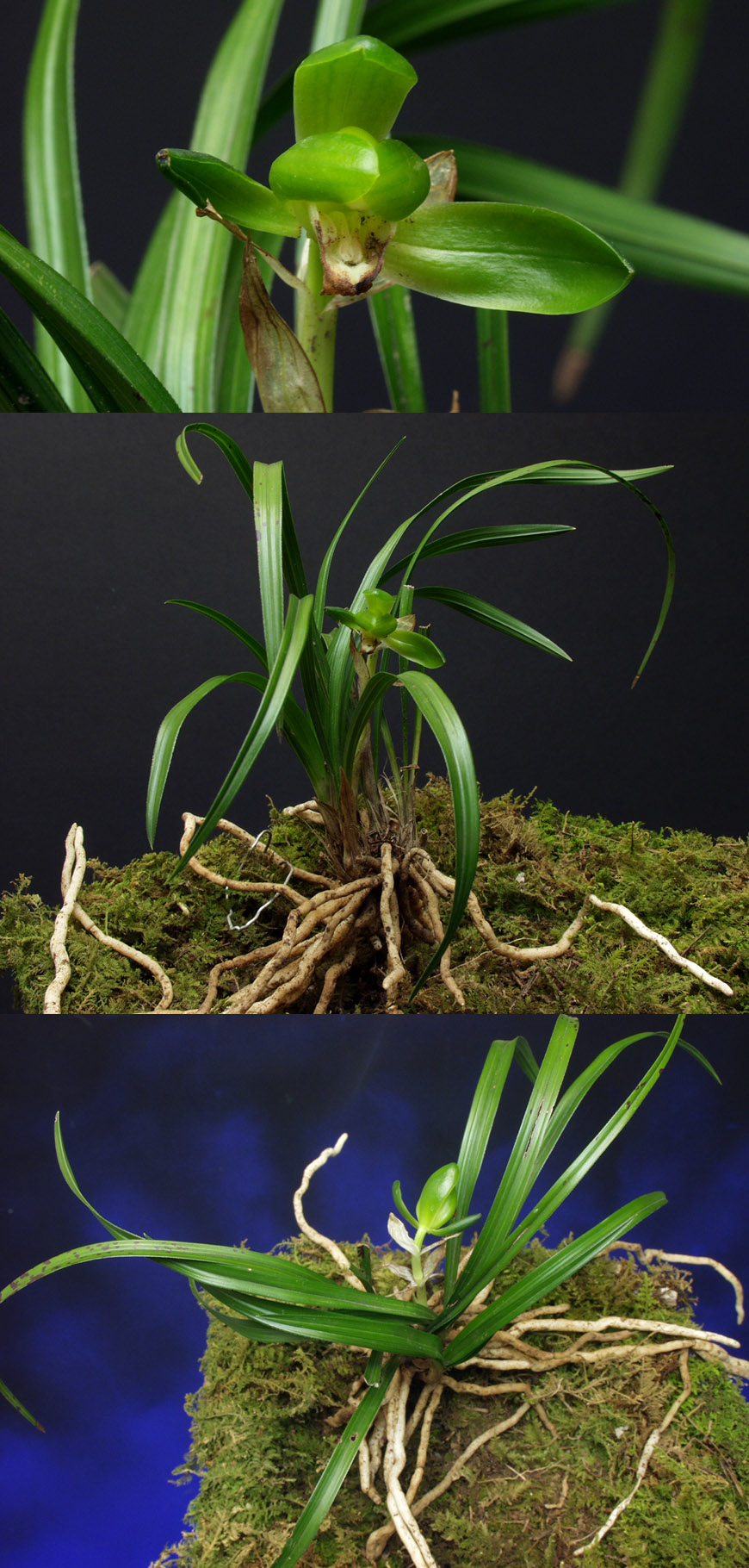 ������ ū������ �� �� �ֽ��ϴ�.