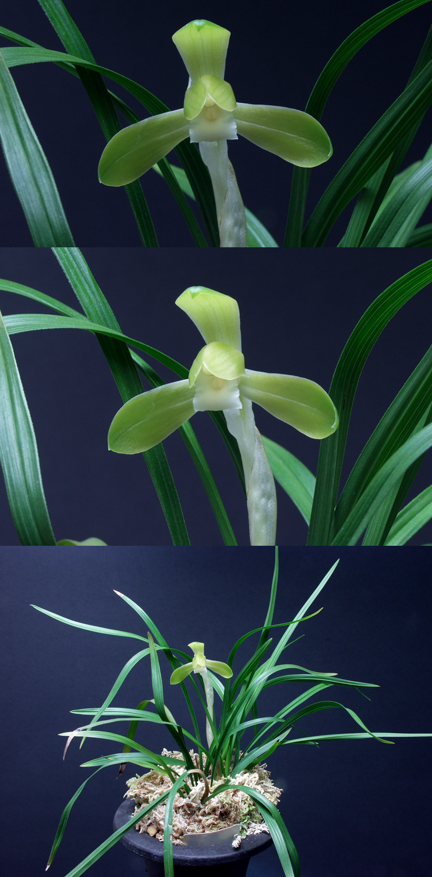 ������ ū������ �� �� �ֽ��ϴ�.