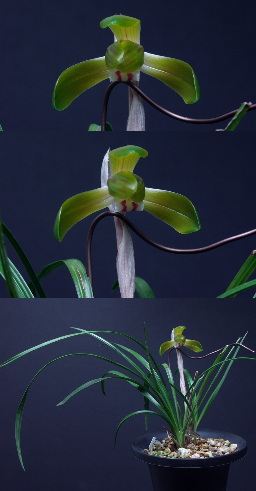 ������ ū������ �� �� �ֽ��ϴ�.