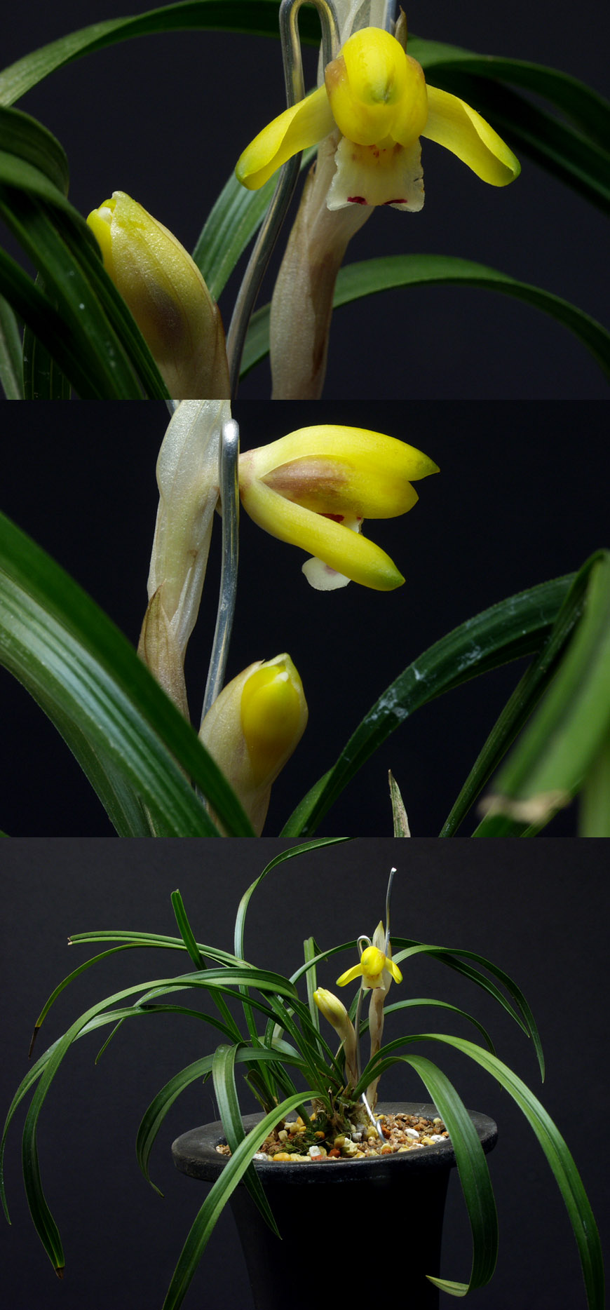 ������ ū������ �� �� �ֽ��ϴ�.