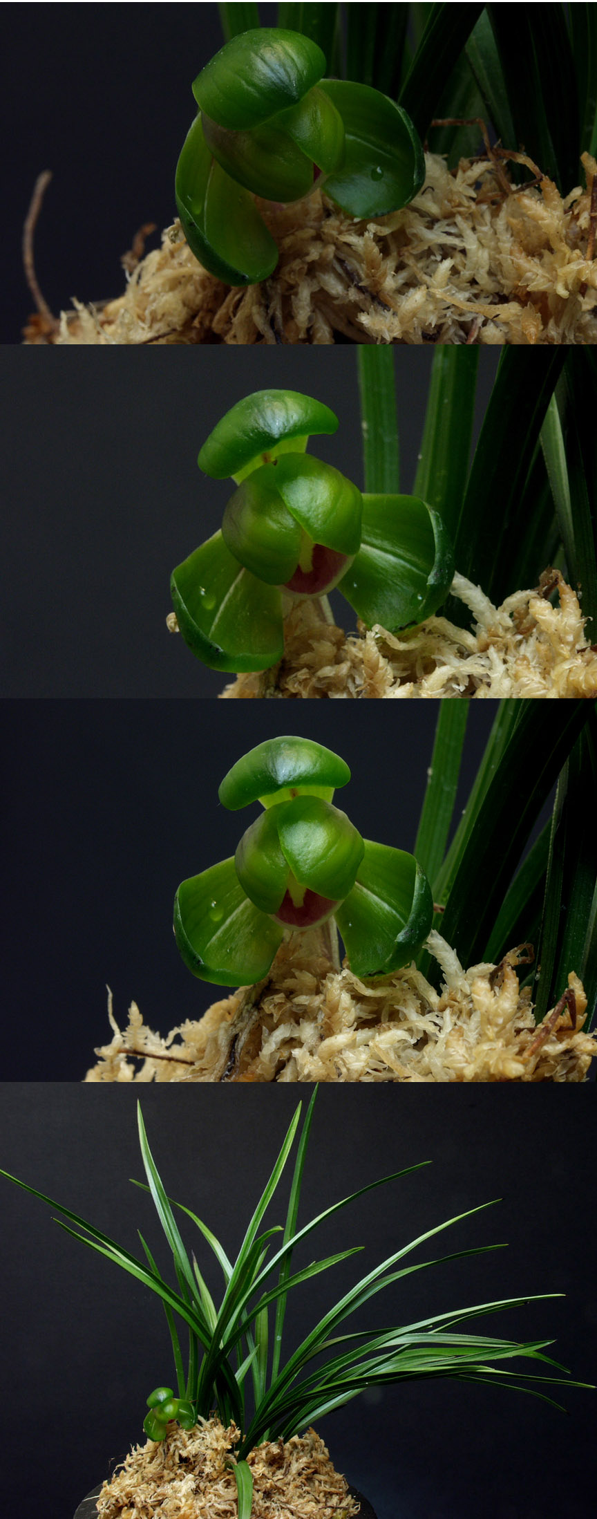 ������ ū������ �� �� �ֽ��ϴ�.