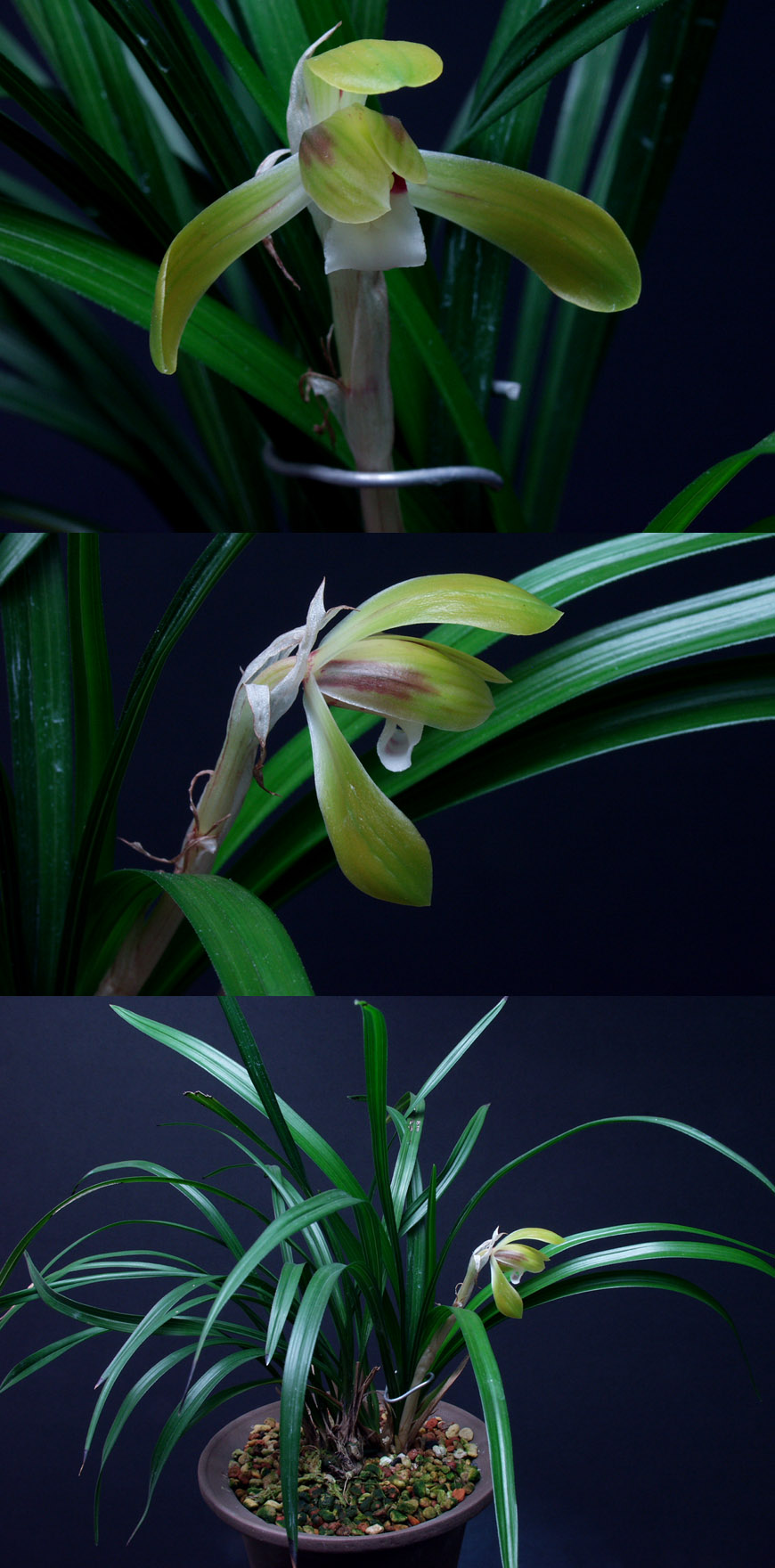 ������ ū������ �� �� �ֽ��ϴ�.