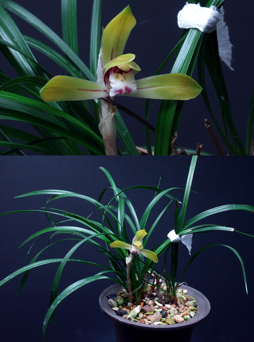 ������ ū������ �� �� �ֽ��ϴ�.