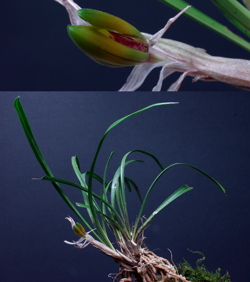 ������ ū������ �� �� �ֽ��ϴ�.