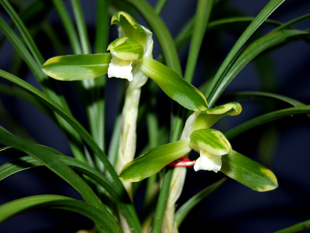 ������ ū������ �� �� �ֽ��ϴ�.