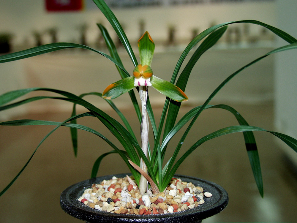 ������ ū������ �� �� �ֽ��ϴ�.