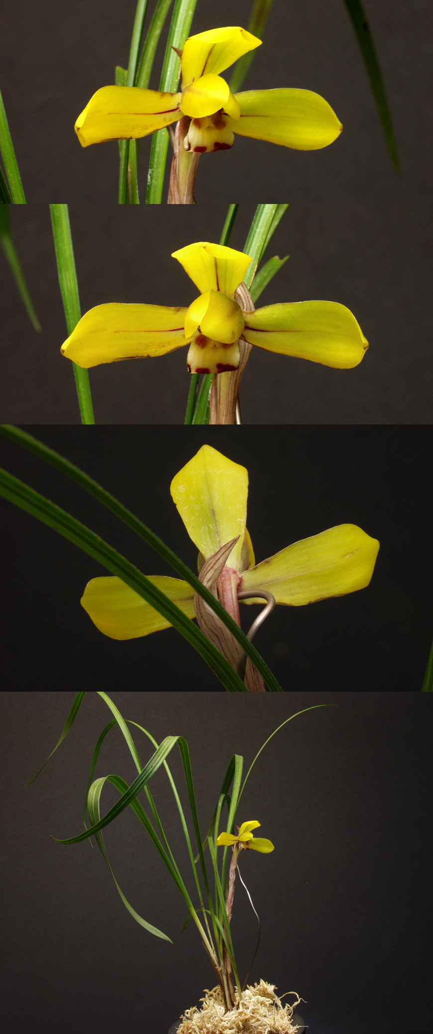 ������ ū������ �� �� �ֽ��ϴ�.