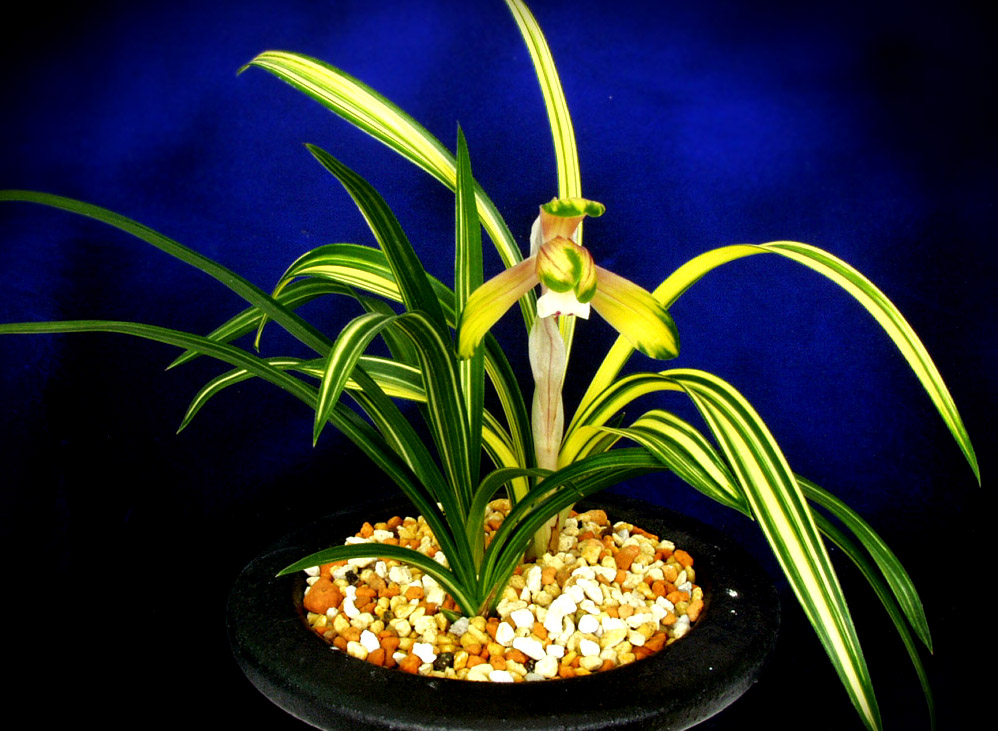 ������ ū������ �� �� �ֽ��ϴ�.