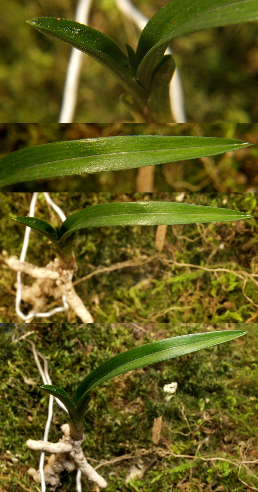 ������ ū������ �� �� �ֽ��ϴ�.