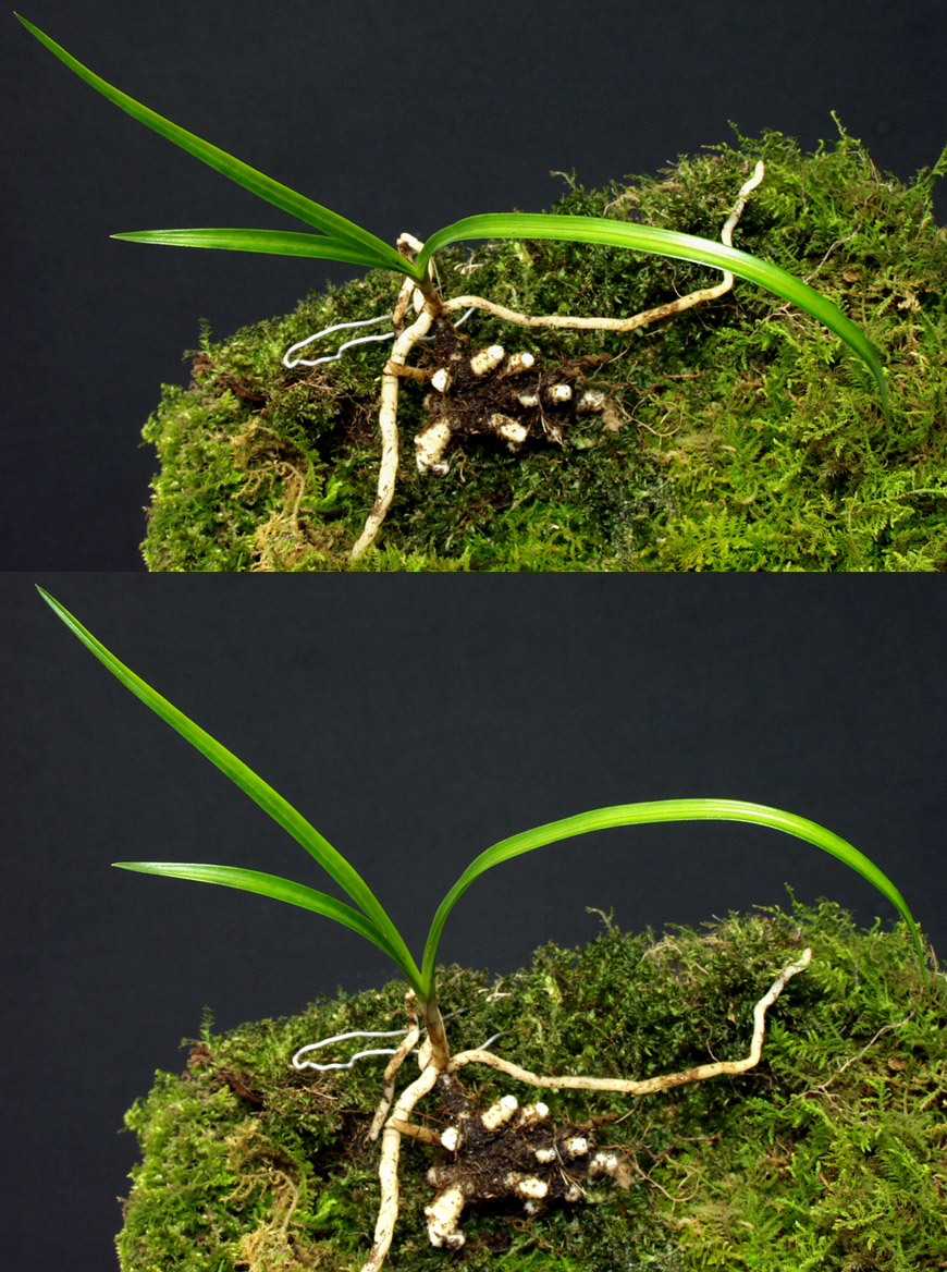 ������ ū������ �� �� �ֽ��ϴ�.