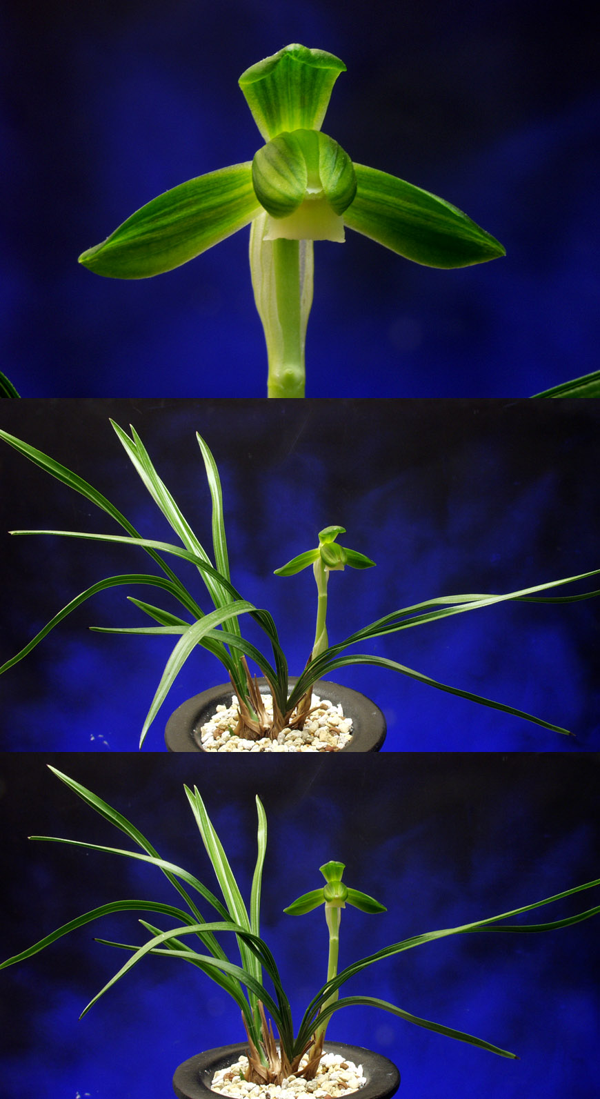 ������ ū������ �� �� �ֽ��ϴ�.