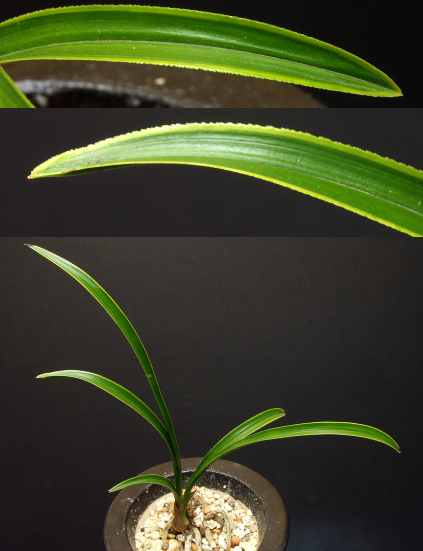 ������ ū������ �� �� �ֽ��ϴ�.