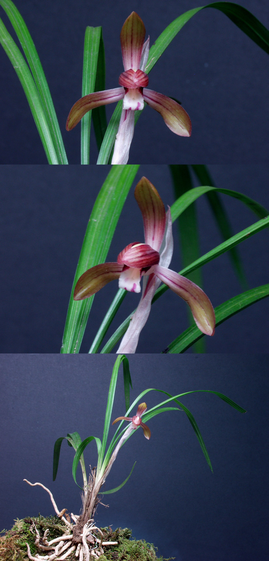 ������ ū������ �� �� �ֽ��ϴ�.