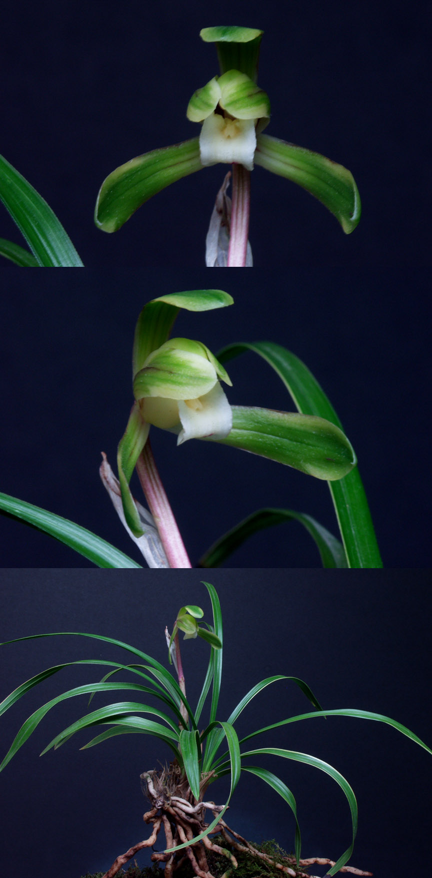 ������ ū������ �� �� �ֽ��ϴ�.