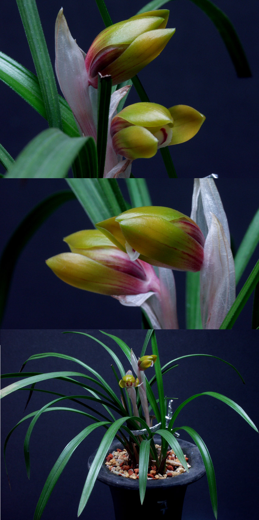 ������ ū������ �� �� �ֽ��ϴ�.