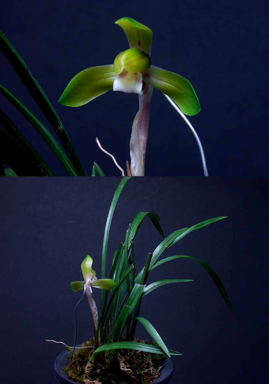 ������ ū������ �� �� �ֽ��ϴ�.