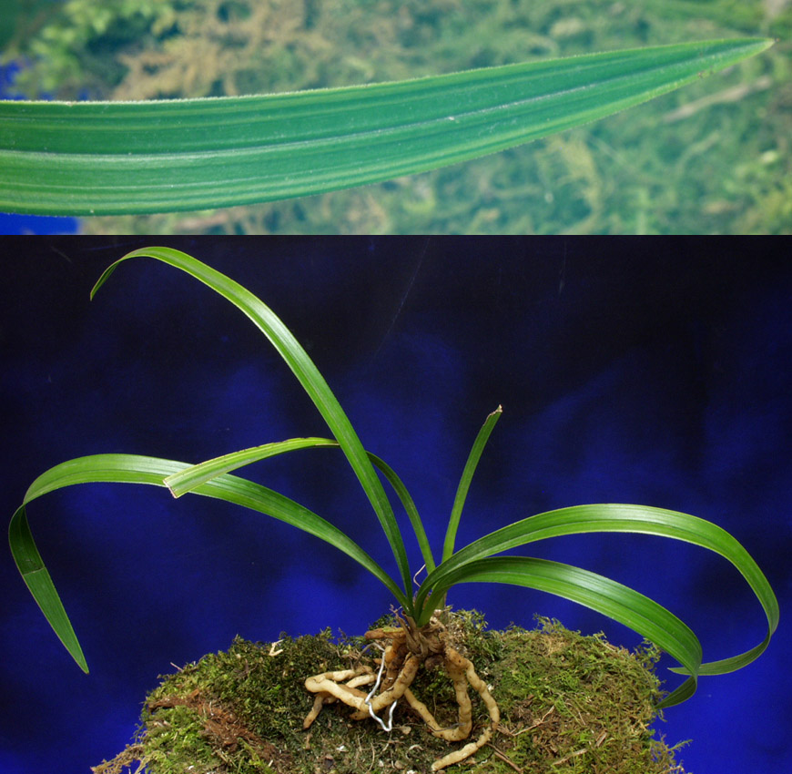 ������ ū������ �� �� �ֽ��ϴ�.