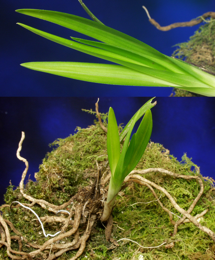 ������ ū������ �� �� �ֽ��ϴ�.