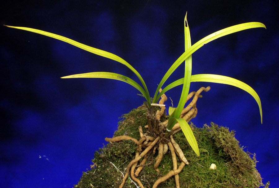 ������ ū������ �� �� �ֽ��ϴ�.