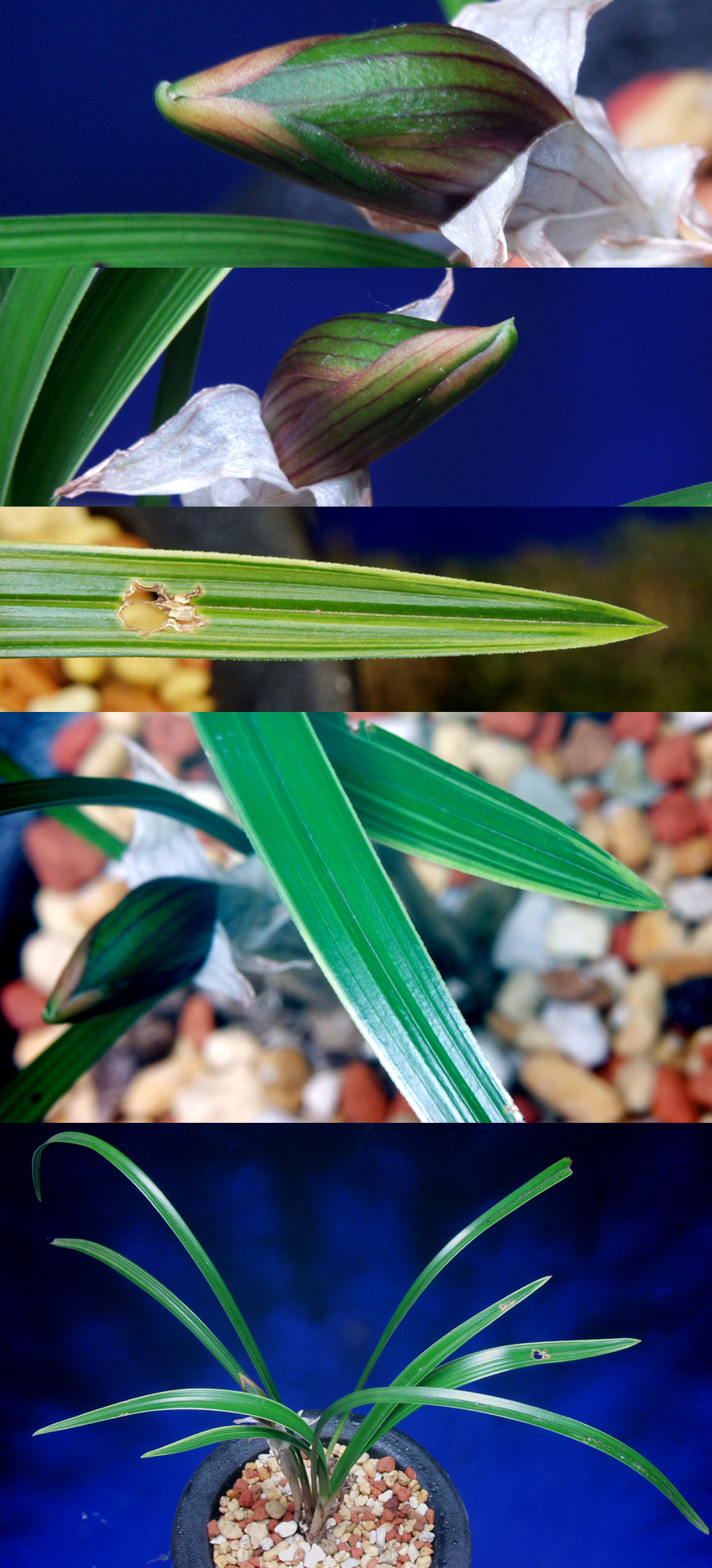 ������ ū������ �� �� �ֽ��ϴ�.