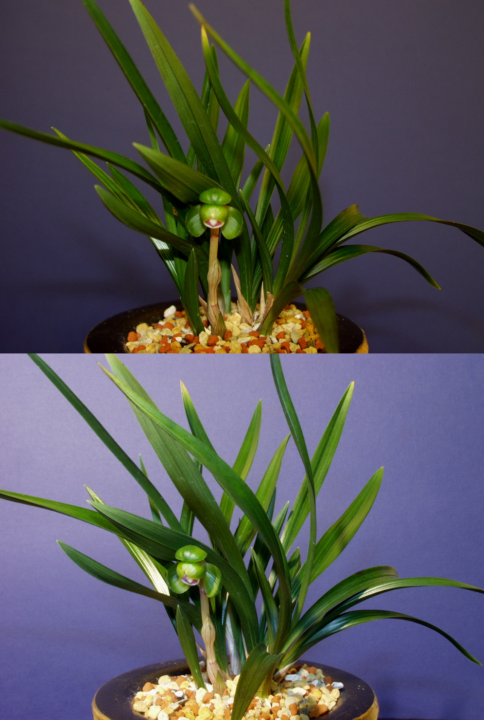 ������ ū������ �� �� �ֽ��ϴ�.