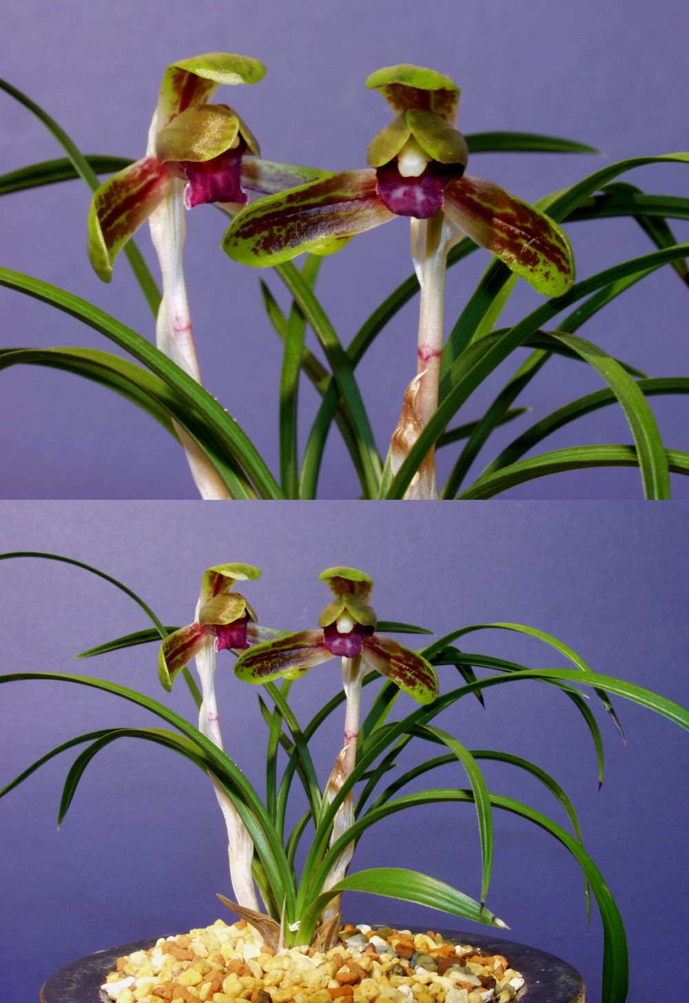 ������ ū������ �� �� �ֽ��ϴ�.