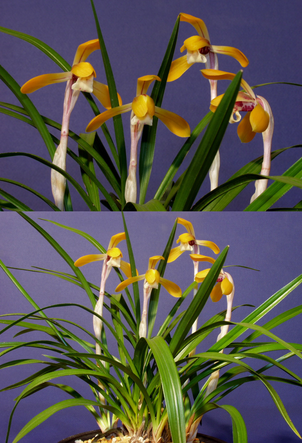 ������ ū������ �� �� �ֽ��ϴ�.