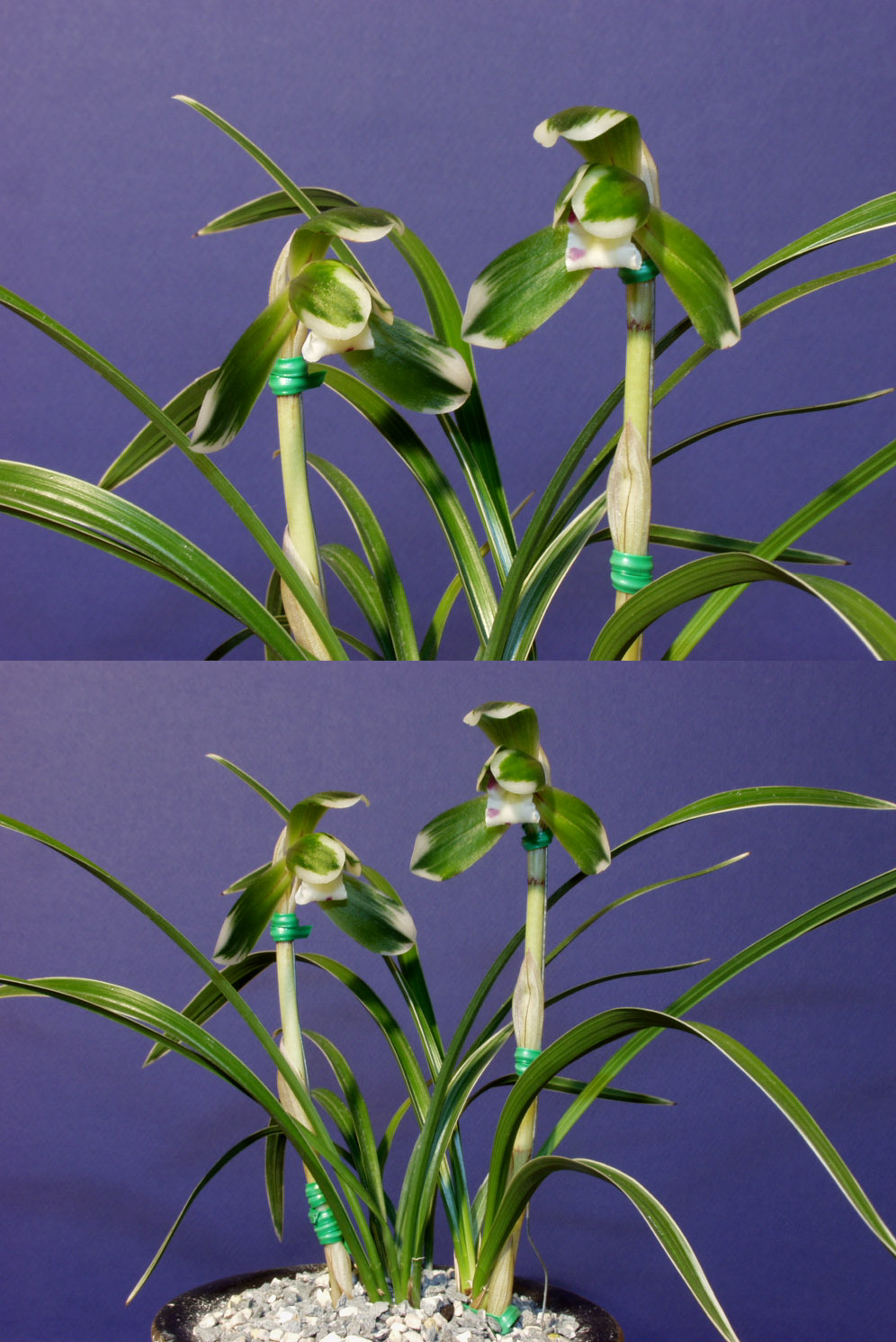 ������ ū������ �� �� �ֽ��ϴ�.