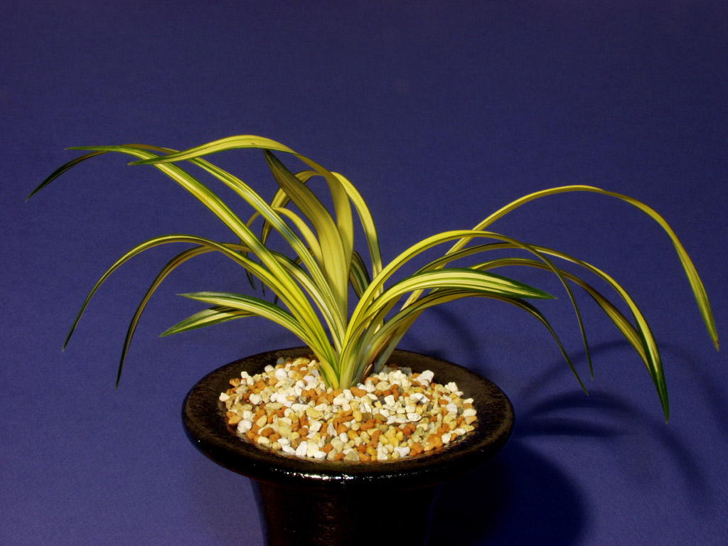 ������ ū������ �� �� �ֽ��ϴ�.